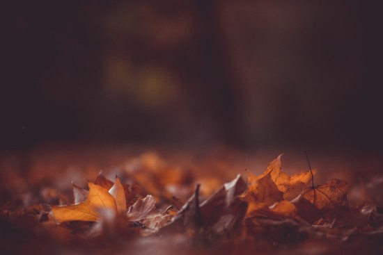 herfst