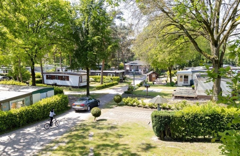 Jaarplaatsen in de Meijelse natuur