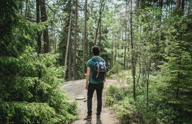 Wandelen noord limburg camping